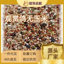鸽子粮无玉米喂粮食营养饲料鸟食幼鸽信鸽赛鸽肉鸽成鸽包邮
