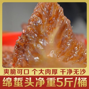 �����������^�d���^�t�����^��Ȼ�����^��Ǻ����^���l����5��