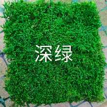 ����̦�\����\�װl�\�������������ٷ�����̦�辰�҃Ⱦ��^�쾰�G