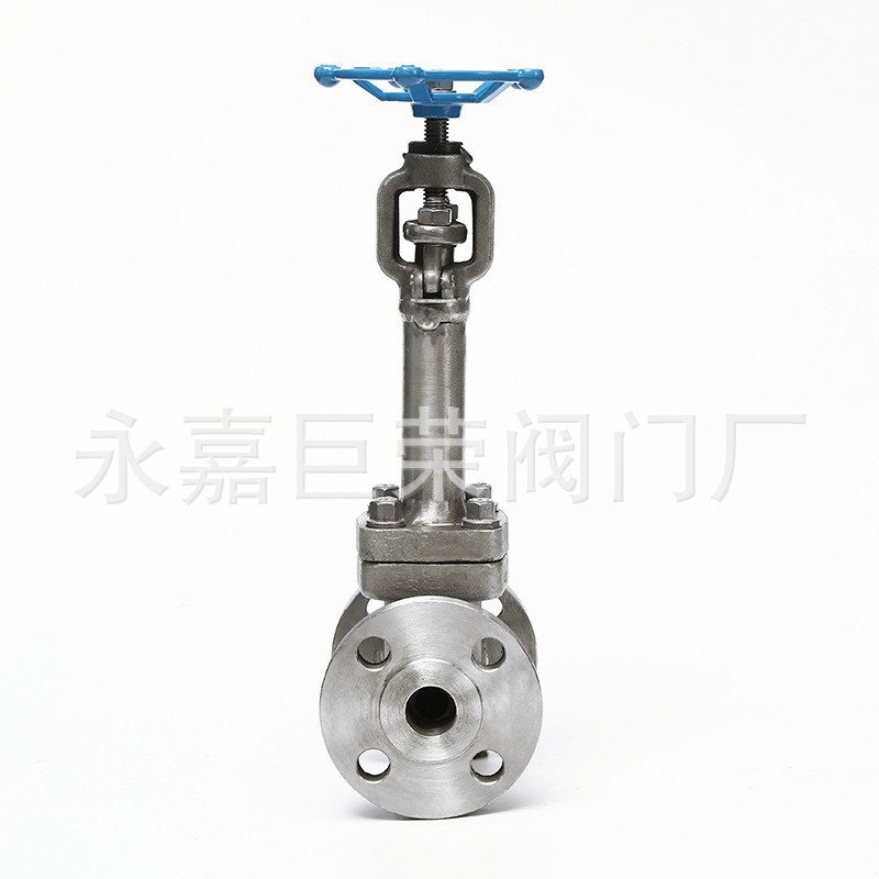 DJ41W-16-100P 截止阀304材质低温加长阀杆截止阀南高阀门