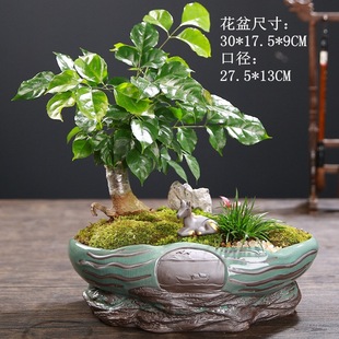 �辰��Gֲ�M�ϻ����Ї��L�͹Ŵ��ՏS�����l��G���⹤ˇƷ���l