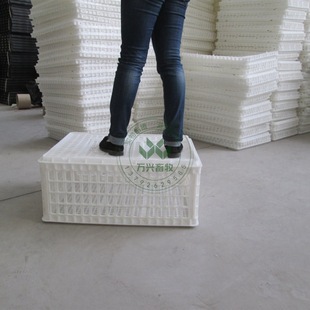 ���u�\���l���u���D�������u�\���Bֳ���ö�Ҏ����u�\