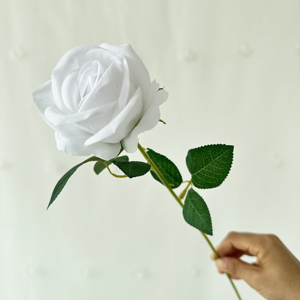 판타지 싱글 플란넬 화이트