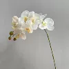 Feel white 1#