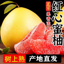 福建平和红心柚子新鲜水果三红柚整箱鲜果红肉蜜柚琯溪柚产地直发