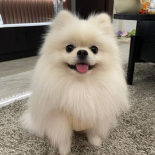 ���N������Ȯ���wС�Ͳ������ﹷ���豭Ȯ���pȮ�������̻������l