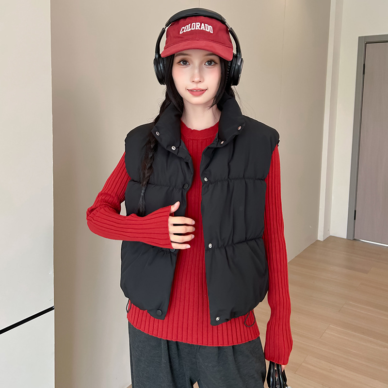 2025 otoño y invierno nuevo chaleco de cuello vertical, estilo holgado, estilo corto chaleco casual chaleco de chaleco de mujer