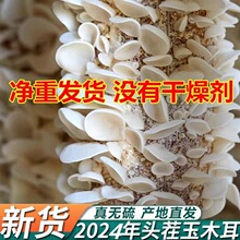 东北白玉木耳干货无根秋耳小碗耳白木耳银耳食用农产品散装批发