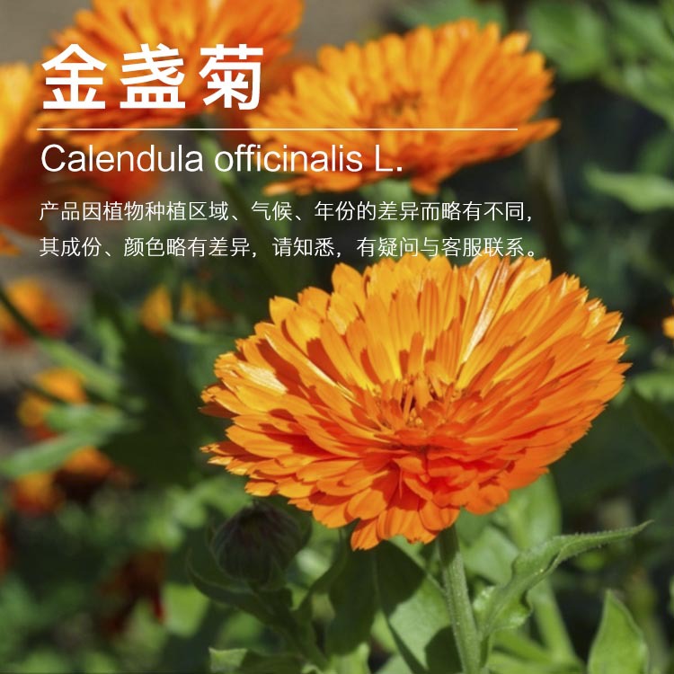 ���ҹ�Ӧ��յ����  ��յ�ս����� ֲ����ԭ������ ��ӭ�ɹ�