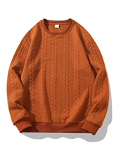B 62990 Men's Knit Round Neck Sweatshirt ��֯Բ������ �羳��