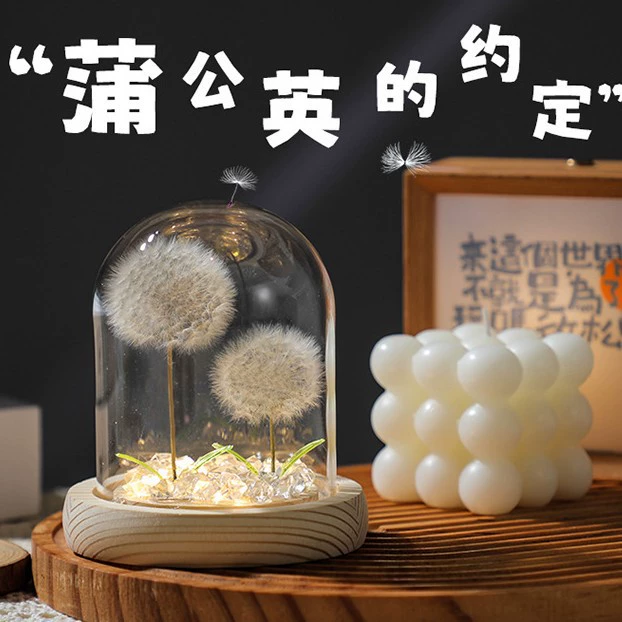 Вечный цветок одуванчика, сушеные украшения для рабочего стола, светящийся ночник, подарок на день рождения для девочек, подарок на день учителя