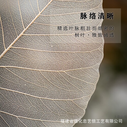 Bodhi leaf filter, creative tree leaves, tea filter, tea leakage, kung fu tea set accessories, filter, tea filter, tea divider