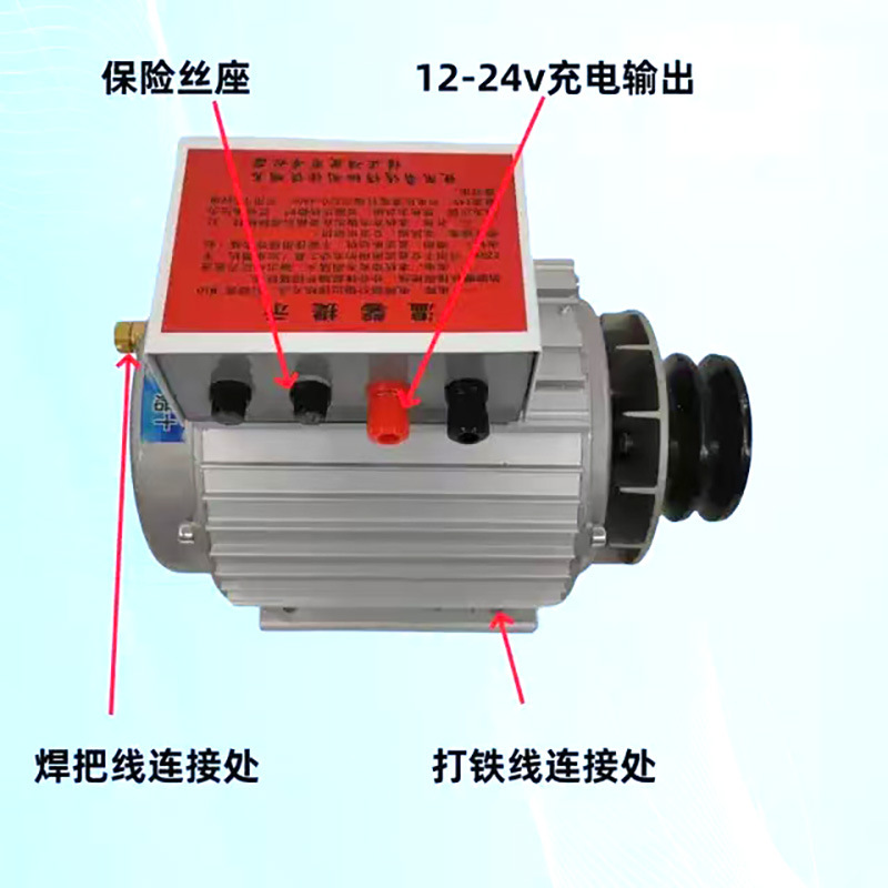 Factory In-Stock Generator 220V Dc Brushless Small Permanent Magnet Dual-Purpose Generator Outdoor Portable Generator