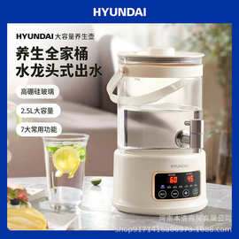 HYUNDAI电热水壶2.5L烧水壶电热水瓶保温全自动恒温壶壶RC-Z825D