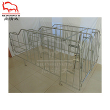 母猪妊娠栏 限位栏 定位栏 养殖场母猪栏位 热浸锌金属栏养殖设备