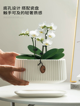 蝴蝶兰花盆大号家用长方形兰花绿植简约白色阳台客厅花盆之满