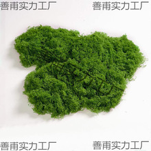 ̦�\�쾰����̦ë����Ƥ�Gֲ΢���^ֲ���b�������������쾰