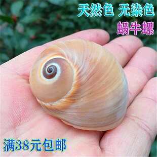 ����ؐ��΁ţ�� ���ݚ���ؐ�~�ľ�з��Q�� �~��ˮ���쾰�b�