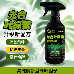Becos Photosynthetic Chlorophyll Succulent Plant Germination and Flower Promotion Leaf Insertion Green Plant Nutrient Solution Universal Type