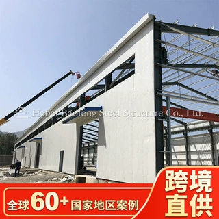 复合板钢结构工程加工 东南亚钢结构仓库车间厂房出口