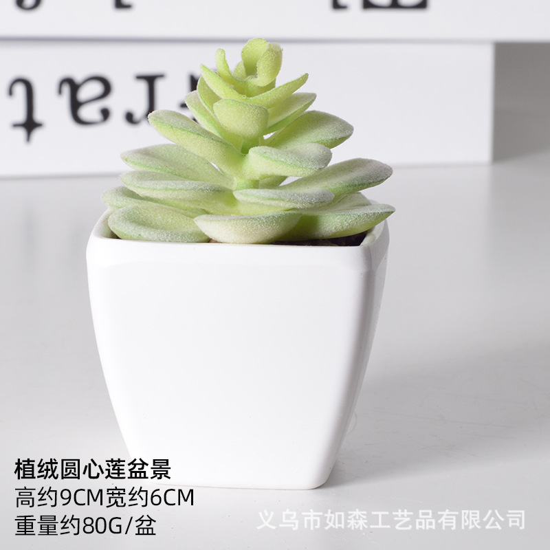 Simulación de plástico carnoso bonsai flor falsa combinación oficina interior escritorio plantas verdes pequeños adornos plantas artificiales al por mayor image 59