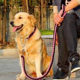 狗牵引绳中型大型犬链子遛金毛拉布拉多P链宠物用品一件批发跨境