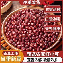 ء|tl؛خatССܛŴɳtɳx