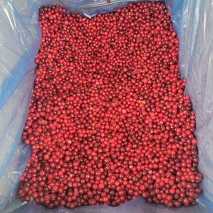 Ұ���t�������d���XҰ���t����Խݮ���ك���Խݮ����t�������t��