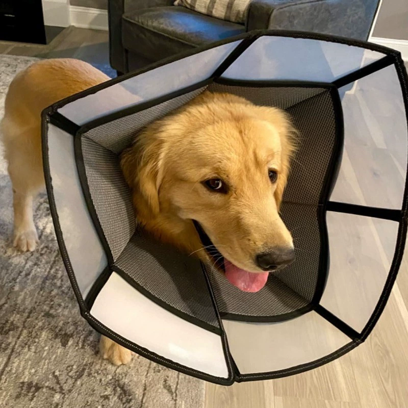 Кольцо Элизабет собака кошка позорное кольцо домашнее животное большая собака против облизывания против укусов ошейник головной убор стерилизационный ошейник мягкий