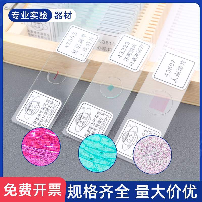 生物实验切片装片人体四大组织神经细胞昆虫标本肌肉人血涂片植物