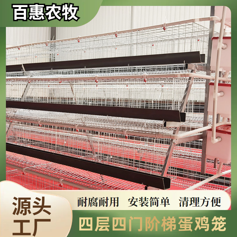 Equipo de jaula para pollos de cuatro niveles y cuatro puertas apilados para granjas. Fábrica de equipos de jaula para pollos tipo escalera galvanizada de múltiples niveles.