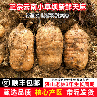 �������r�����ͨ����С�݉�ԭ�a�ط�Ұ���F��500g���]��