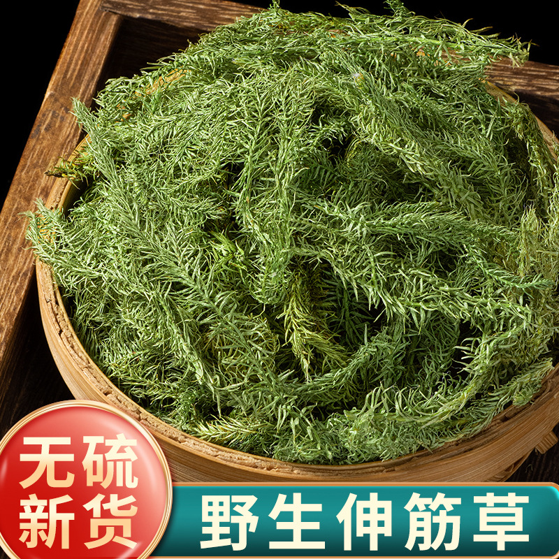 伸筋草中药材野生正品伸筋草中草药泡脚小伸筋草另售远志益智仁