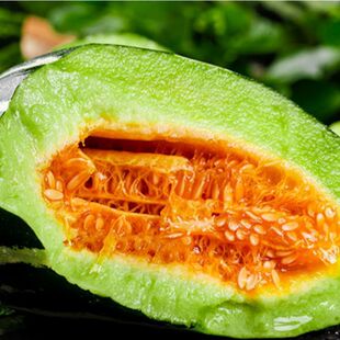 ������ϷN�ӻ�Ƥ�ִ���t��߅������ϼ�ͥ����ˮ����ϷN����