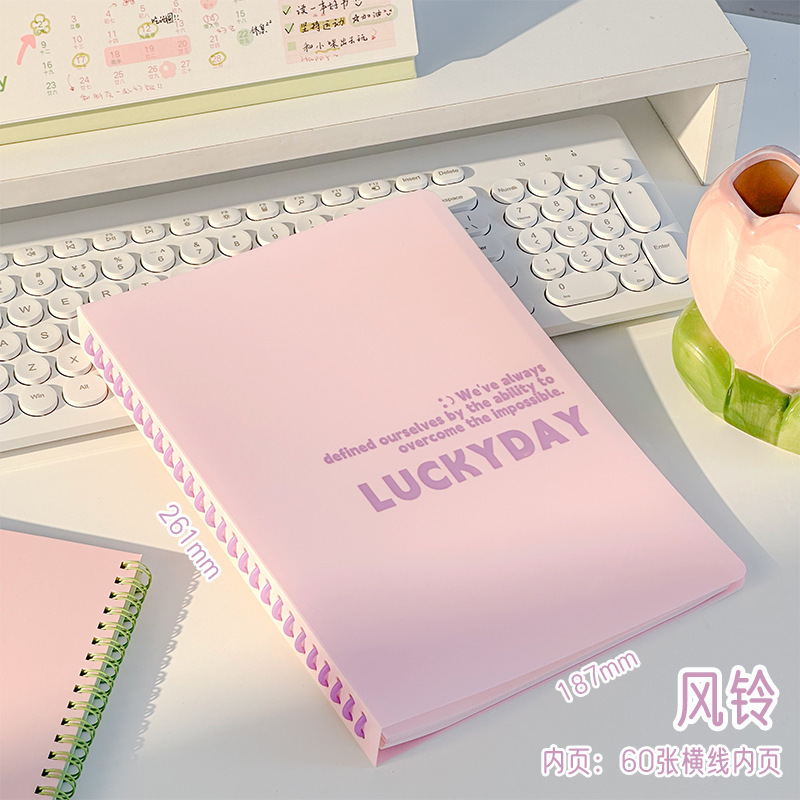 Cuaderno de 3 años de segunda clase desmontable engrosado hoja de cálculo bobina de alto valor facial para estudiantes