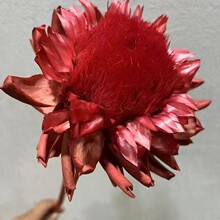 永生雪莲花民宿软装插花家居装饰摆件网红干花洋蓟批发不凋谢