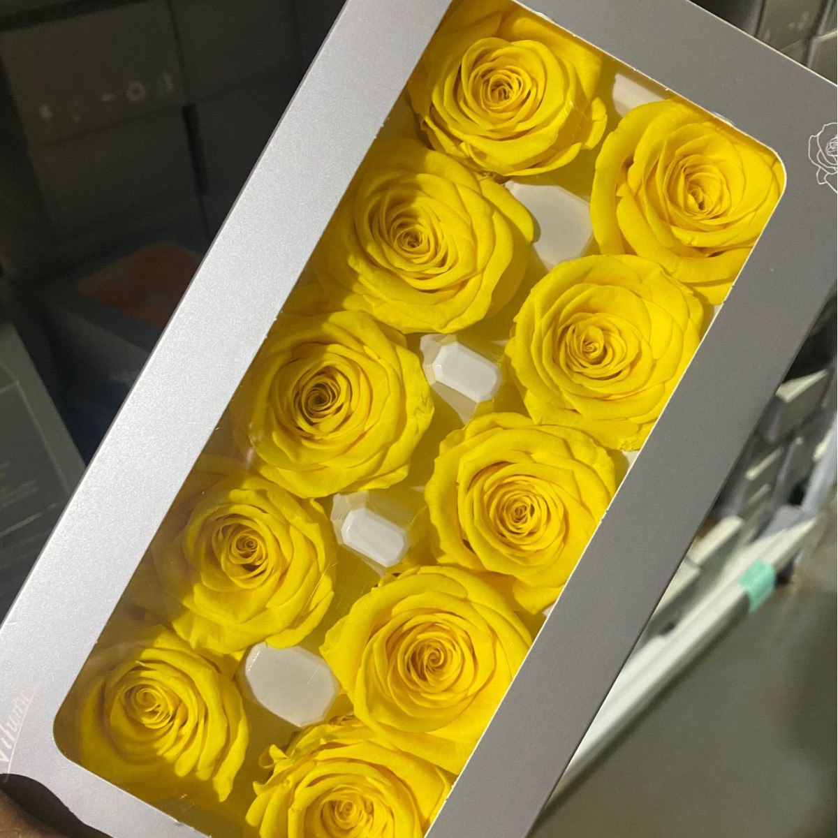 Rosas preservadas de grado A de Yunnan al por mayor, 3-4 cm, juego de 10 piezas, materiales florales para caja de regalo DIY para bodas y San Valentín