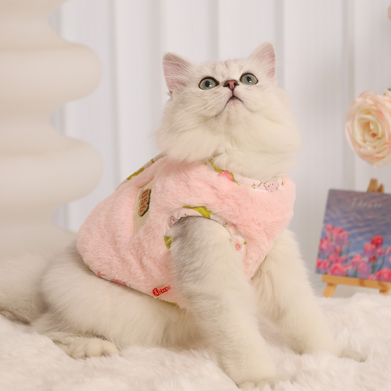 Ropa de gato invierno cálido chaleco para mascotas marioneta gatito Golden gradualmente capa anti-pelusa gato gatito ropa de invierno