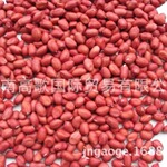 厂家长期提供出口脱皮花生仁 BLANCHED PEANUT KERNEL  欢迎选购