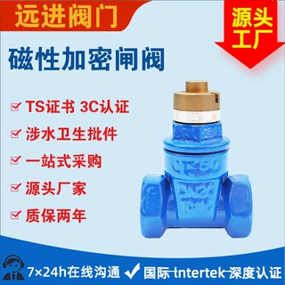 源头工厂磁性锁闭闸阀JMZ15X支持定制规格齐全