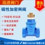 齐全锁闭磁性源头闸阀