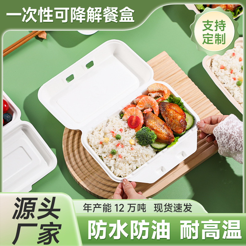 Biodegradable and Compostable Disposable Tableware Conjoined Packaging Box Food Grade Salad Lunch Box with Lid