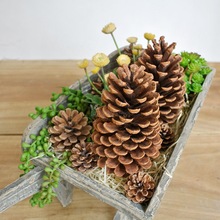 �羳�������ɹ�15cm�����ɻ�diy���ϰ����Ĕ[�����Q���������ɻ�