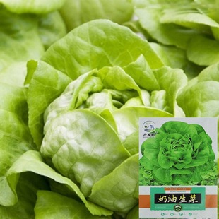 �������˷N�����~���������ļ��ˈ@����������Y������̨�Nֲ