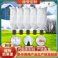 ���R�d���u�Ӻ�ֲ������ֶ���ֲ����K�����֟o������ů������