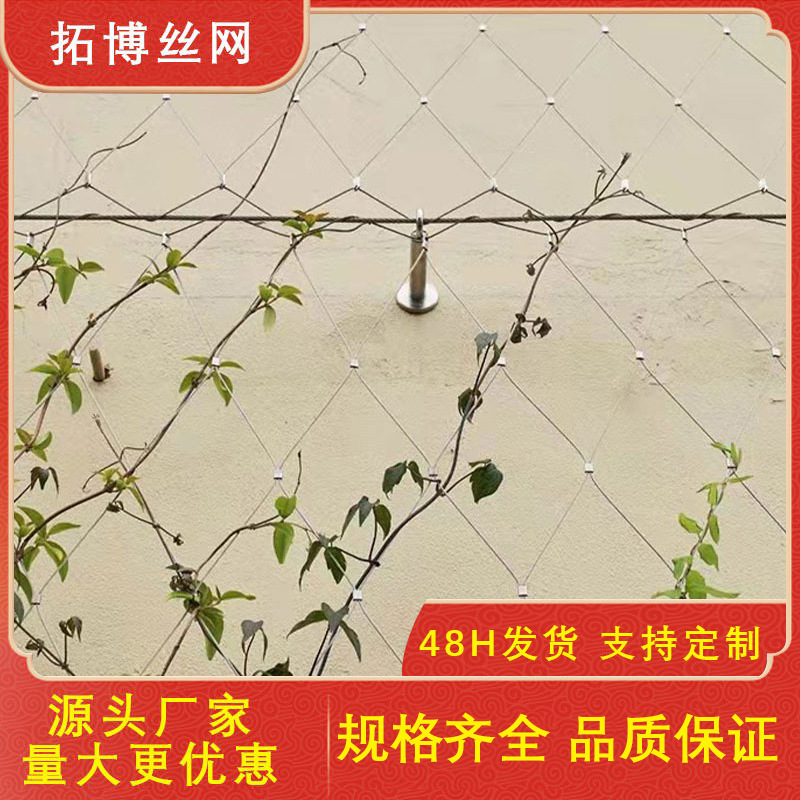 厂家生产批发植物藤蔓攀爬网304不锈钢绳墙体绿化网绿植爬藤网
