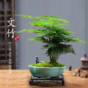 ��������ֲ���҃Ȼ����辰�͏d�k��������С�Gֲ���B����ļ�����