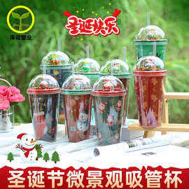 30012  450ml圣诞节微景观卡通亮片水杯双层塑料吸管杯夏日冰杯