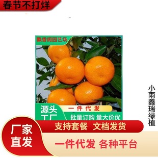 ���θ����Ĵ��������J�����ָ��紺Ҋ�����粻֪������箔��Y��