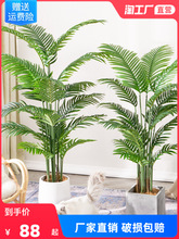 仿真绿植散尾葵北欧风装饰客厅落地大型盆栽室内盆景摆件假植物